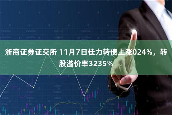 浙商证券证交所 11月7日佳力转债上涨024%，转股溢价率3235%