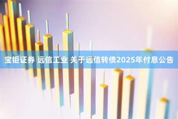 宝钜证券 远信工业 关于远信转债2025年付息公告